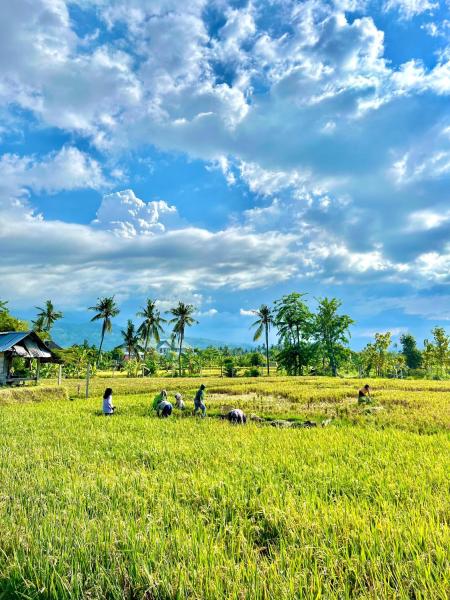 Rumi Bumi - Lovina Rice Terrace Retreat, Забронировать  Отели провинции Бали с парковкой, Парковка