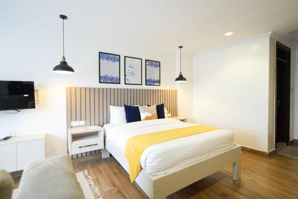Qusini Studio Suite