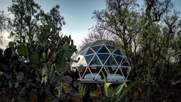 Luxurious Dome Rental Ideal for Glamping in Mexico, Забронировать Кемпинг Sabino 