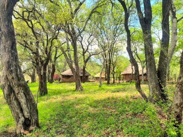 River Range Camp, Забронировать  Pandamatenga Зимбабве