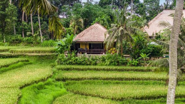 Imperial Villa in Ubud - Majestic Beauty and Nature, Забронировать  Убуд Гианьяр, рядом с Ресторан Ibu Oka