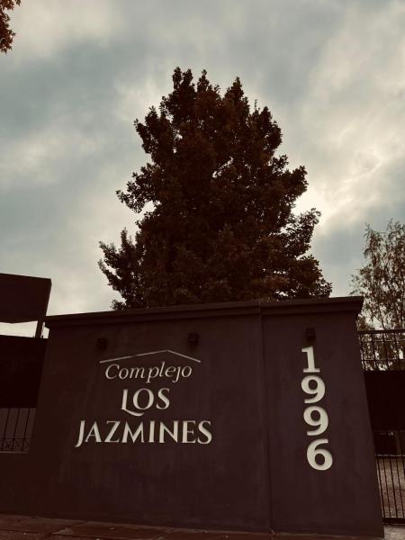 Complejo Los Jazmines, Забронировать  Хенераль-Альвеар провинция Мендоса
