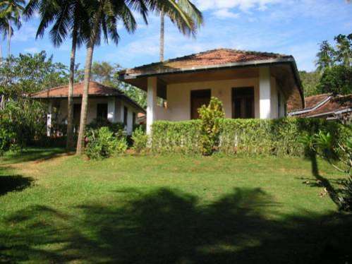 Rocky point beach bungalows