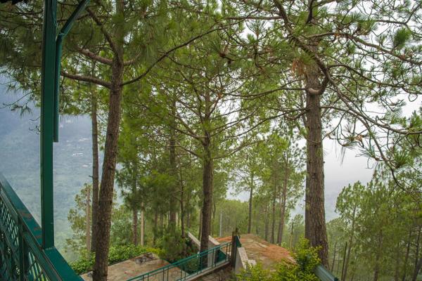 Summer Pine Dharampur Kasauli l Holidays Vataion, Забронировать  Отели Касаули с парковкой, Парковка