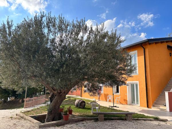 Agriturismo Collamato, Забронировать  Отели Ривьеры Романьола с парковкой, Парковка
