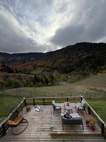Mitarbi Silence - cozy holiday cottages in mountains, Забронировать  Боржоми Самцхе-Джавахети