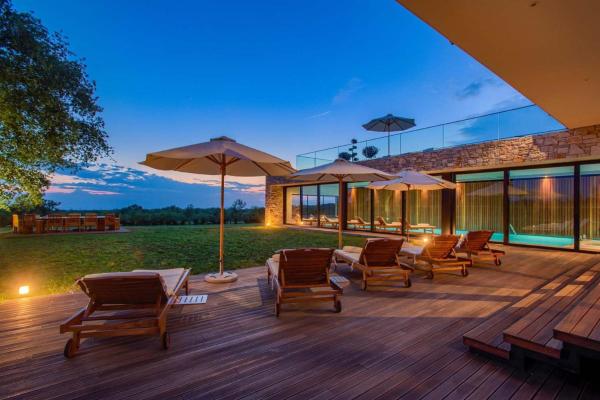 Elegant Istria Villa 18M Private Pool Villa Novica Platinum 4 Bedrooms, Забронировать  Ясеновице Истрия