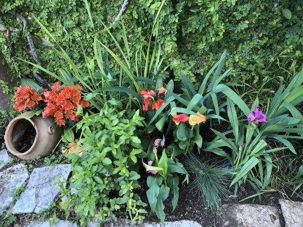 Flower House - Lapad