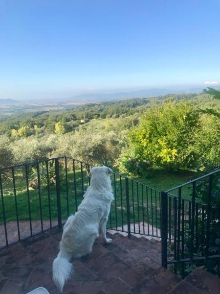 Agriturismo Campo al Crognolo, Забронировать  Сассофортино Тоскана