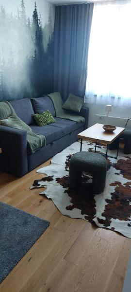 Apartman MK Jahorina, Забронировать  Ivišovo Greblje Федерация Боснии и Герцеговины