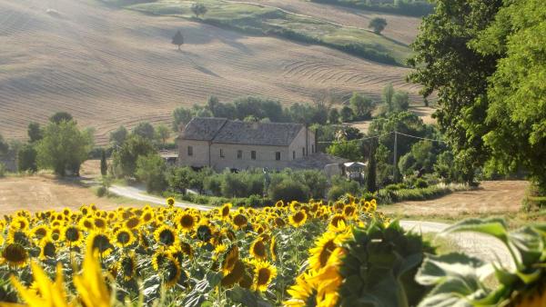 "La Casa degli ulivi Art B&B", Забронировать Отель Рипе Марке
