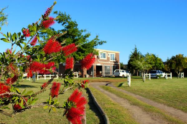 African Adventures Accommodation, Забронировать  Йоосттенберг-Влате провинция Западный Кейп