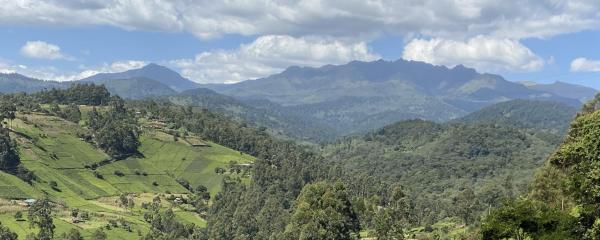 Ranges View Lodge - Aberdare Safari in Muranga, Забронировать  Kiamuturi 