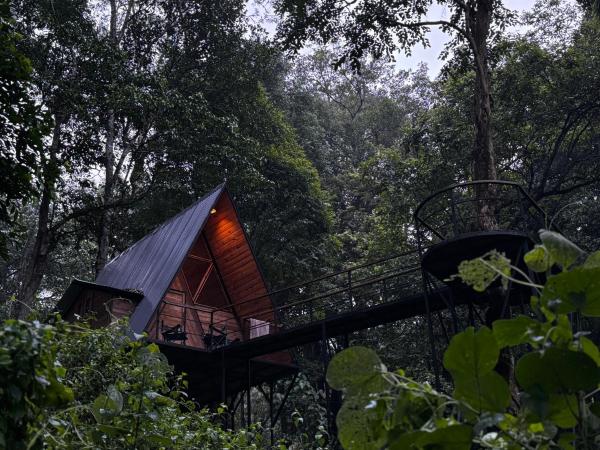 Wildvibes India, Забронировать  Меппади Ваянад