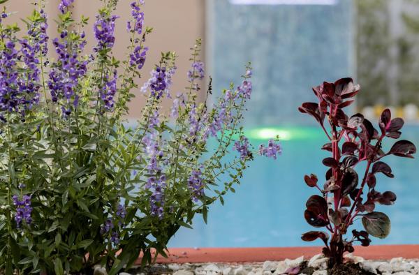 Macaws Villa, Забронировать  Тапанти Картаго