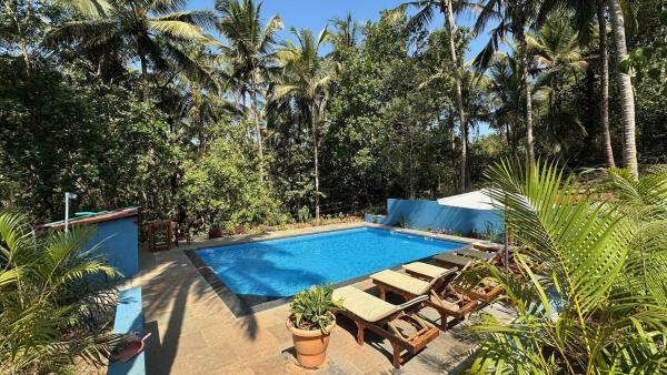 The Haven Goa Jungle Retreat and Wellness
