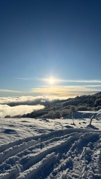 AETIA -TSIOURGIAKA MPATSILAS Group, 预订  Aetia 希腊