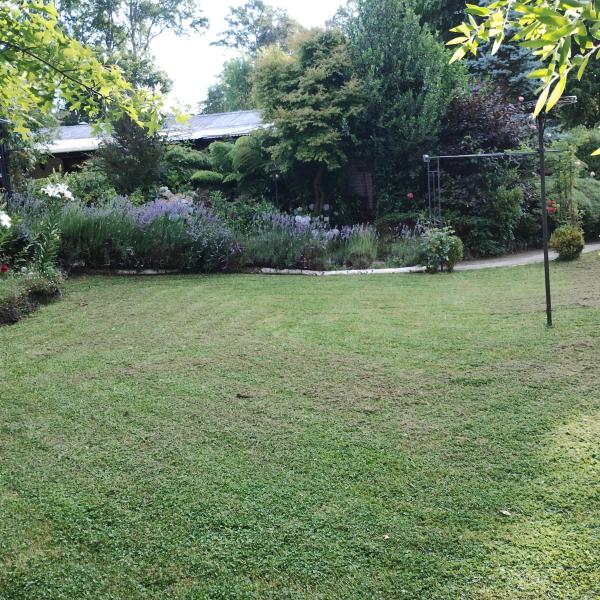 Cabaña Petalos Villarrica bungalows 3 personas, Забронировать  Вильяррика Вильяррика