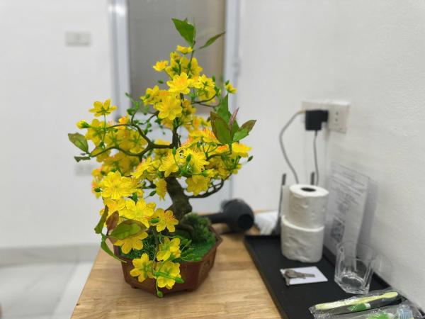 Hạ Xuân 202TK27