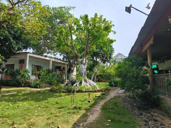 Biên Rừng Homestay, Забронировать  Xã Như Lâm Бариа-Вунгтау
