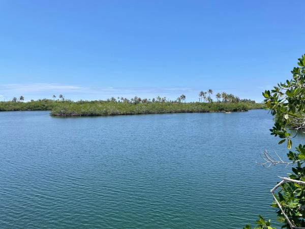 Prueba1, Забронировать  Tintipan Island Боливар