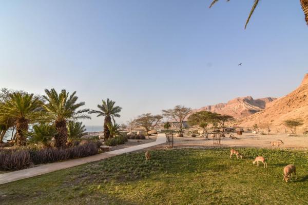 SPNI Ein Gedi Field School, Забронировать  Эйн-Геди Мёртвое море Израиль