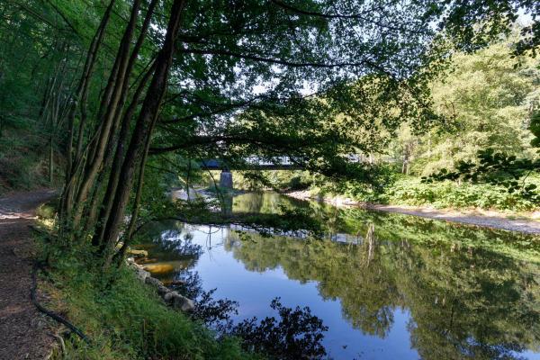 Camping Village Sy, Забронировать  Феррьер Pays d'Ourthe-Amblève