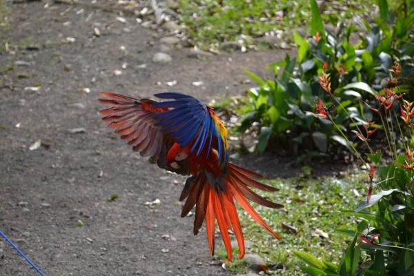 Finca Dos Calaveras