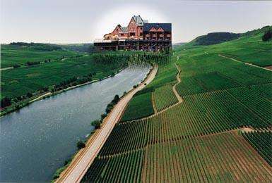 Hotel des Vignes
