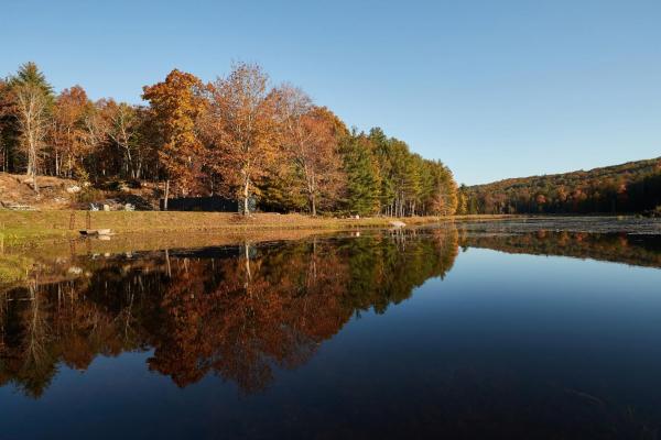 The Country Inn, Забронировать  Стоун-Ридж Ulster County