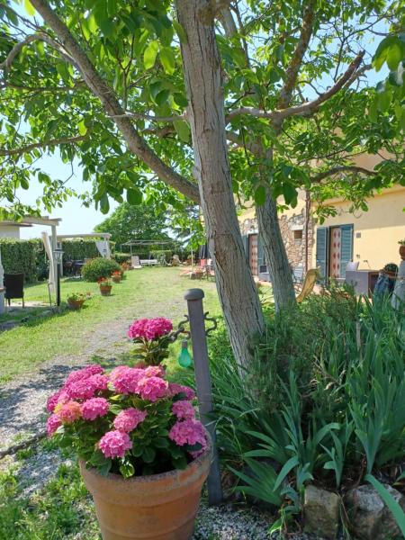 Agriturismo Il Gelso