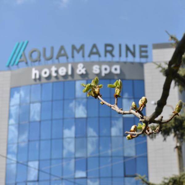 Aquamarine Hotel&Spa 