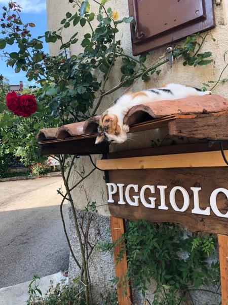 PIGGIOLO, Забронировать  Rocca Malatina 