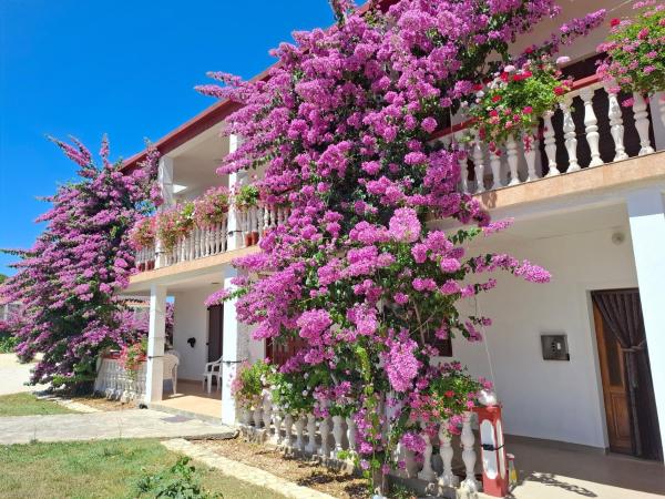 Apartments with parking space Privlaka, Zadar - 12985, Забронировать Апартаменты/квартира Привлака Задарская жупания