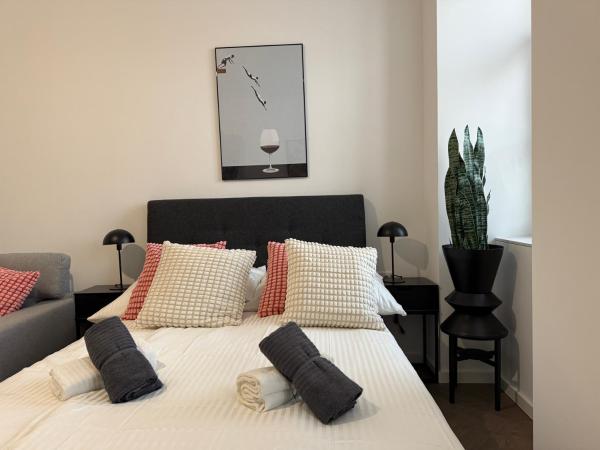 Central Renovated Premium Apartment