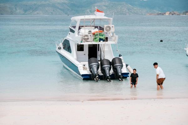 One Day Trip by Speadboat to National Komodo Park, Забронировать  Лабуан-Баджо провинция Восточная Нуса-Тенгара