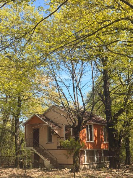 Nagil Bagı, Забронировать  Отели Масаллы с парковкой, Парковка