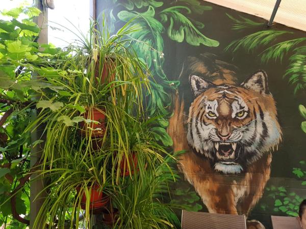 Jungle, Забронировать  Одесса Черноморское побережье Украины