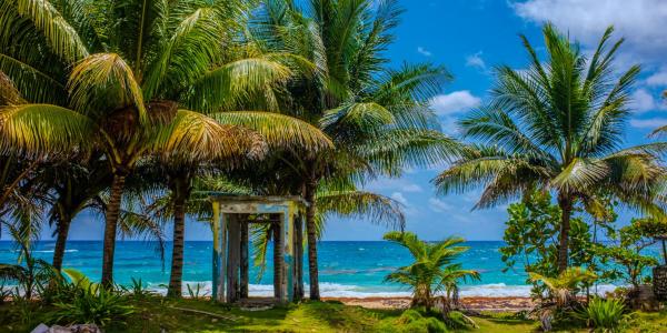 Beachfront 5BR w Gen Long Bay,Portland Sleeps 10, 预订  Long Bay Portland