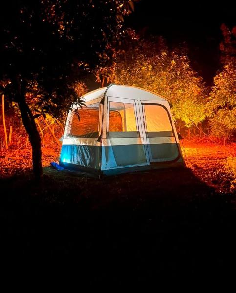 Wildtentadventure, Забронировать  Отели Путтур с бассейном, Бассейн