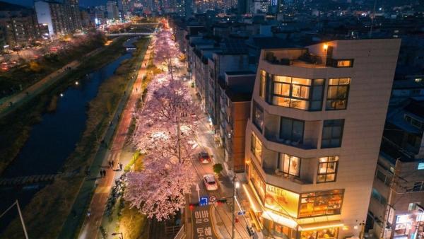 홍대#DMC역#커플,가족,단체여행#프라이빗 감성숙소#Villa De Ellie, Забронировать  Сеул Южная Корея