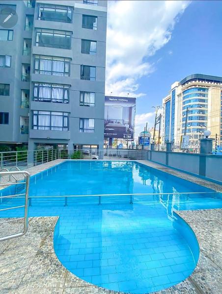 executive beautifully furnished apartment with all modern finishings ,swimming pool, fully equipped gym and other luxurious facilities and close proximity to major shopping malls in kilimani, Забронировать Апартаменты/квартира Найроби Найроби Каунти
