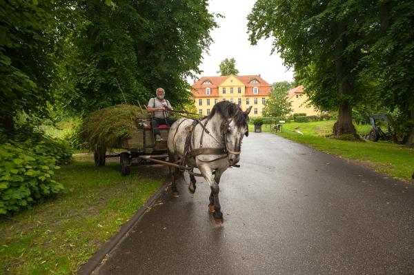 Schloss Lühburg-Insel der Ruhe im Mecklenburger ParkLand, Забронировать  Отели Валькендорф с парковкой, Парковка