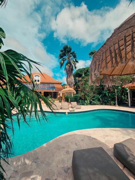 Coconuts Tropical Boutique Hotel Curaçao, Забронировать  Виллемстад Кюрасао