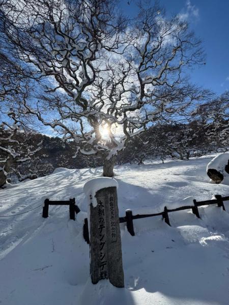 Blue Art Satoyama Retreat, Забронировать  Ōasa Хиросима