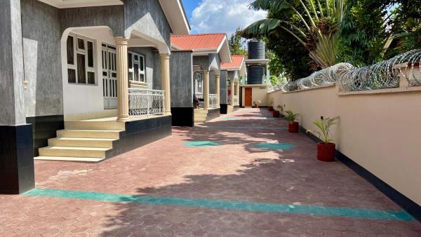 Dolphin AIR B&B