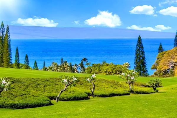 Kapalua Ridge Villas Ocean Views Grass Lawn KBM Resorts 2 Units 3 Bedrooms ML-2516