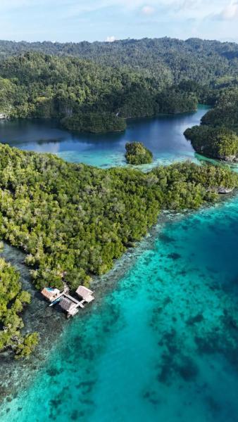 Sunrise Raja Ampat, Забронировать  Беср 
