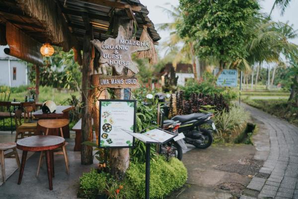 Sawah Manis Guest House, Забронировать  Отели Убуд с бассейном, рядом с Ресторан Mozaic, Бассейн