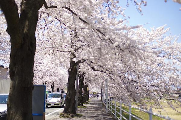 Tendo Grand Hotel Maizurusou